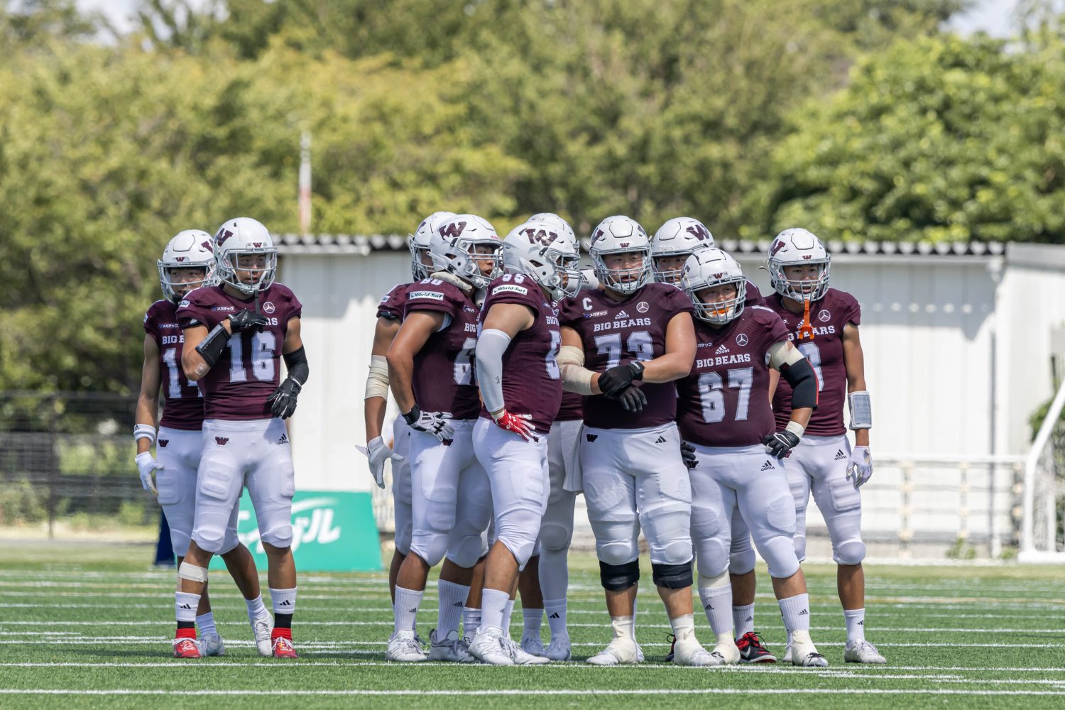 早稲田大学アメフト部　BIG BEARS パーカー　3点セット　バラ売り可 早稲田大学米式蹴球部（アメリカンフットボール） 2023年度